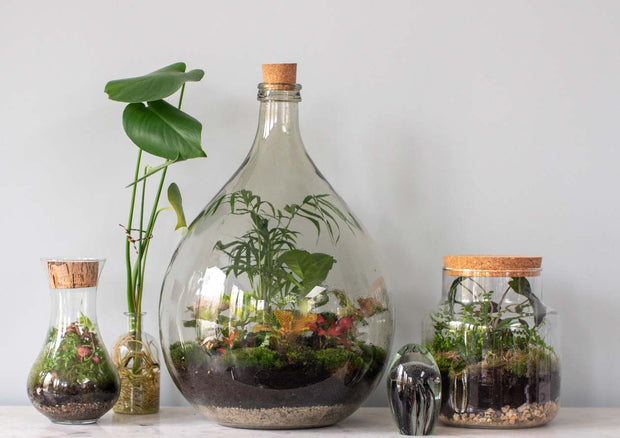 FROM NATURE TO ART