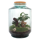 Terrarium DIY Kit • Botanical Garden XL • Ecosystem with plants • ↑ 35 cm