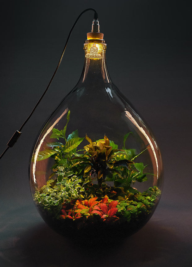 Plant terrarium with light - JNGLight XL - Ecosystem incl. lamp - ↑ 76 cm