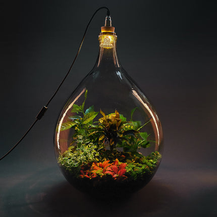 Plant terrarium with light - JNGLight L - Ecosystem incl. lamp - ↑ 61.5 cm