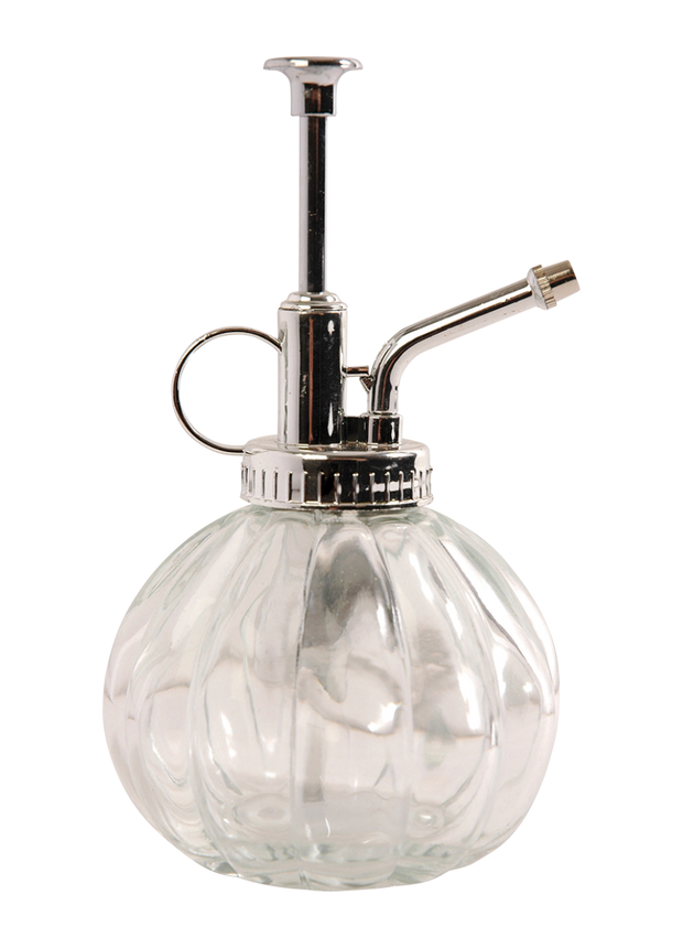 Plant mister clear glass - 0,25 litre