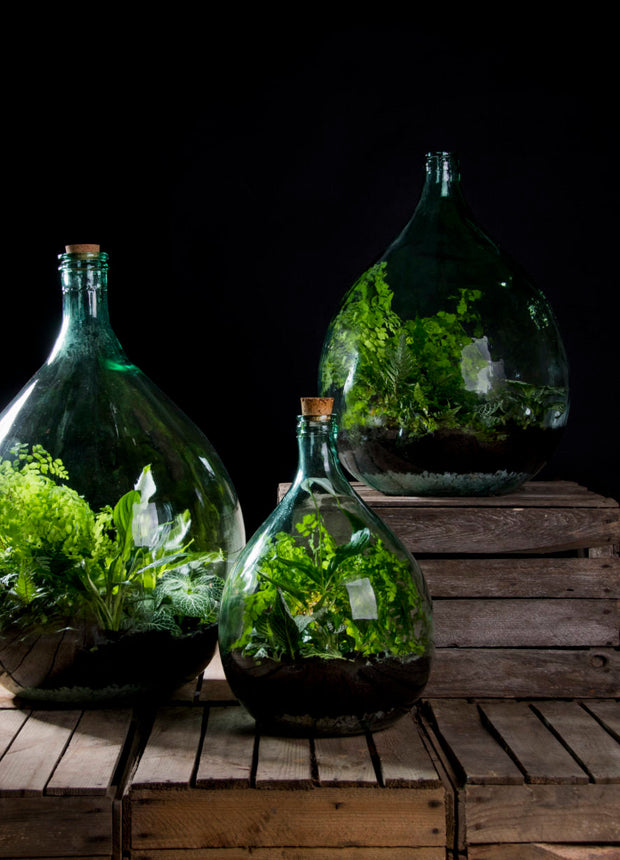 Terrarium bottle 35 litre set - 55 cm high - DIY Kit