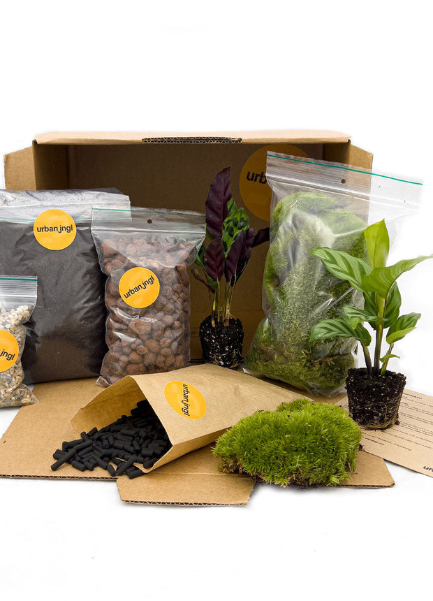 DIY terrarium refill kit with 2/3/4 plants